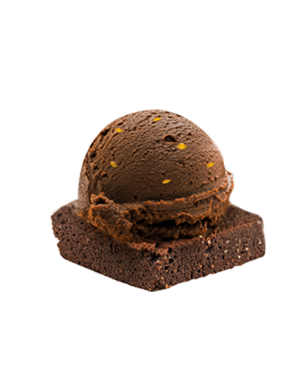 Chocolate Ice Cream  Dessert